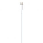 Apple USB-C to Lightning Cable - Image 3