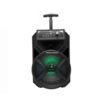 Greatnice GTS-1340 Portable Wireless Speaker with Mic
